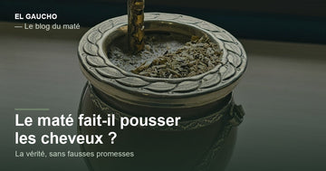 Maté et cheveux : un maté traditionnel rempli de yerba, vue de dessus avec bombilla