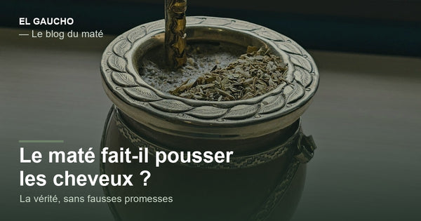 Le maté fait-il pousser les cheveux ? La vérité, sans fausses promesses