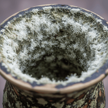 Champignons Calebasse Maté : Prévention et Solutions Expert - El Gaucho