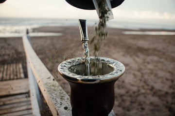Les 8 Erreurs les Plus Communes lors du Curage de Calebasse (et Comment les Éviter) - El Gaucho