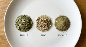 Anatomie de la yerba maté : feuille, tiges (palo) et polvillo
