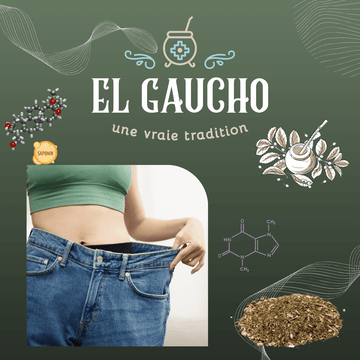 Yerba Maté et Perte de Poids : Mythe ou Réalité ? - El Gaucho