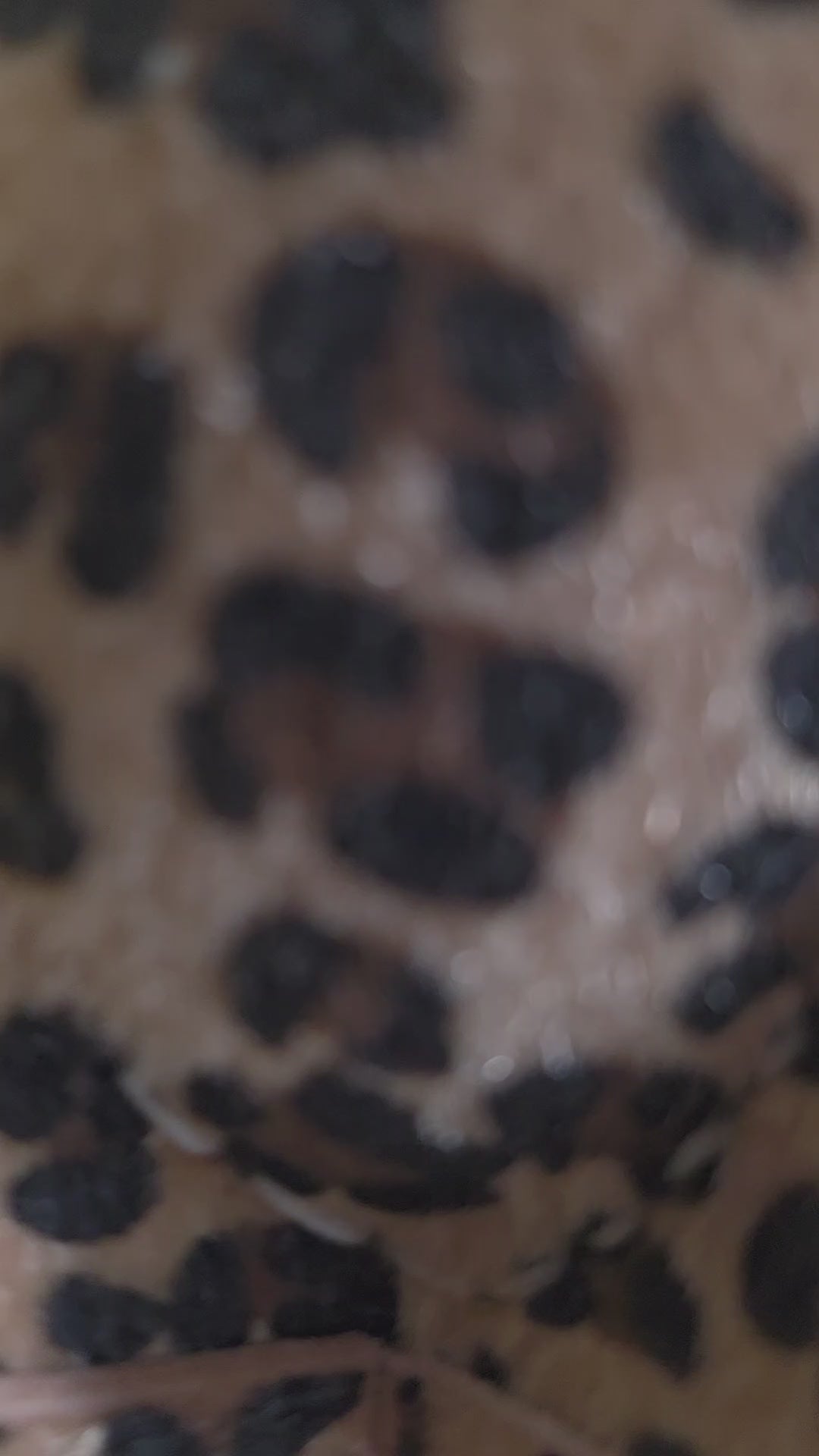 Mate Impérial Animal Print — Virole Ciselée Motifs Abstraits Fine