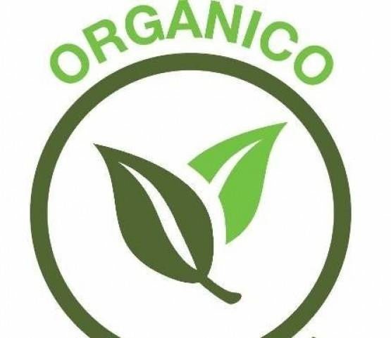 Kraus Organica - bio - Yerba mate 0.5gr - El Gaucho une vraie tradition